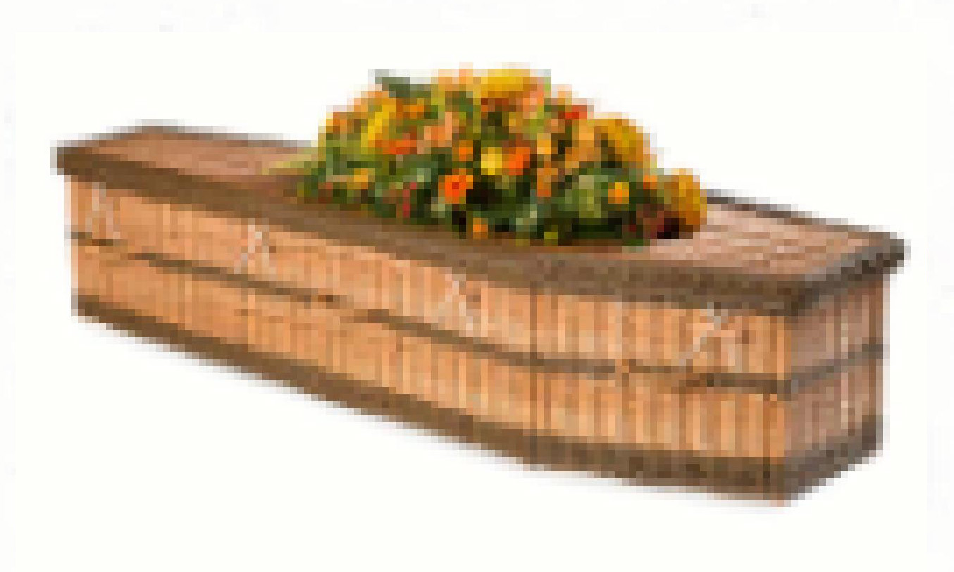 English Willow Traditional coffin